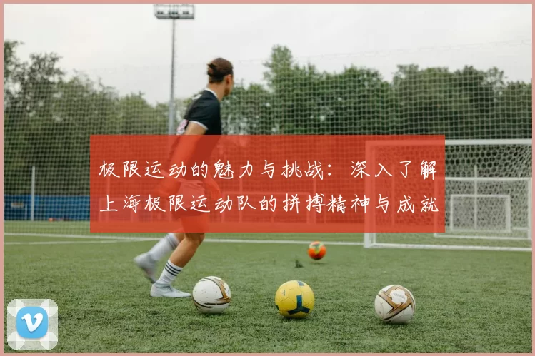 极限运动的魅力与挑战：深入了解上海极限运动队的拼搏精神与成就MBA