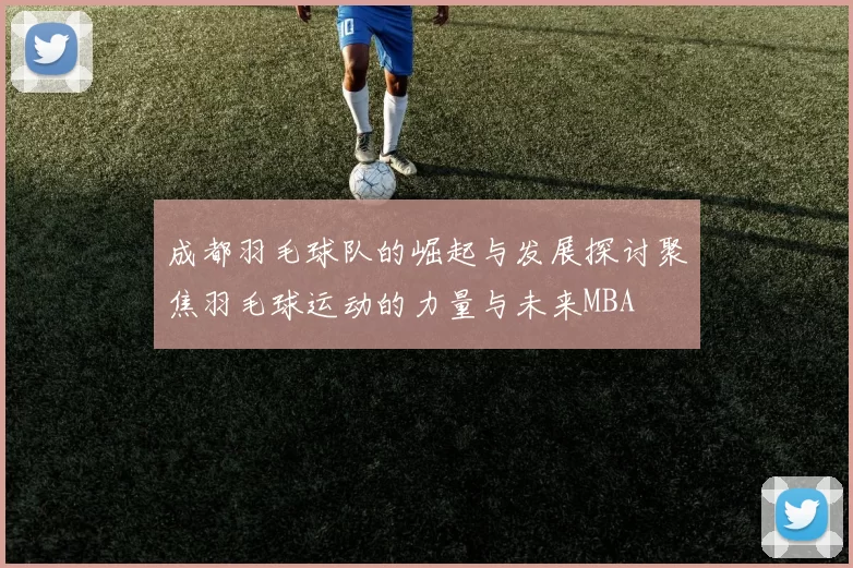 成都羽毛球队的崛起与发展探讨聚焦羽毛球运动的力量与未来MBA