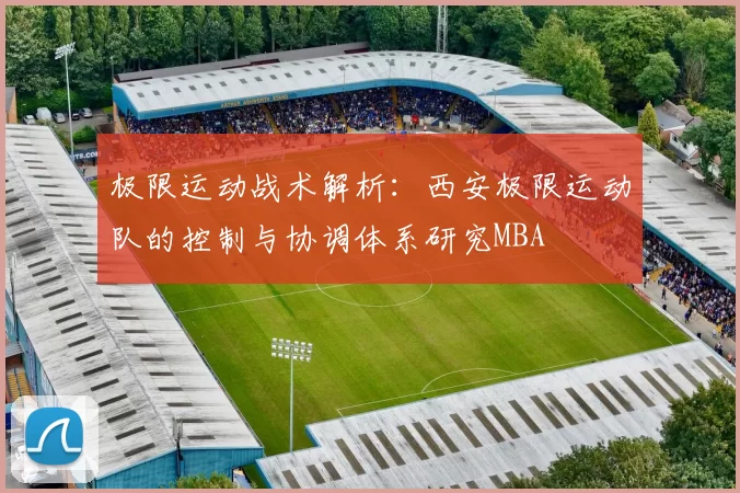极限运动战术解析：西安极限运动队的控制与协调体系研究MBA