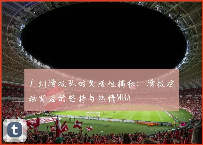 广州滑板队的灵活性揭秘：滑板运动背后的坚持与热情MBA