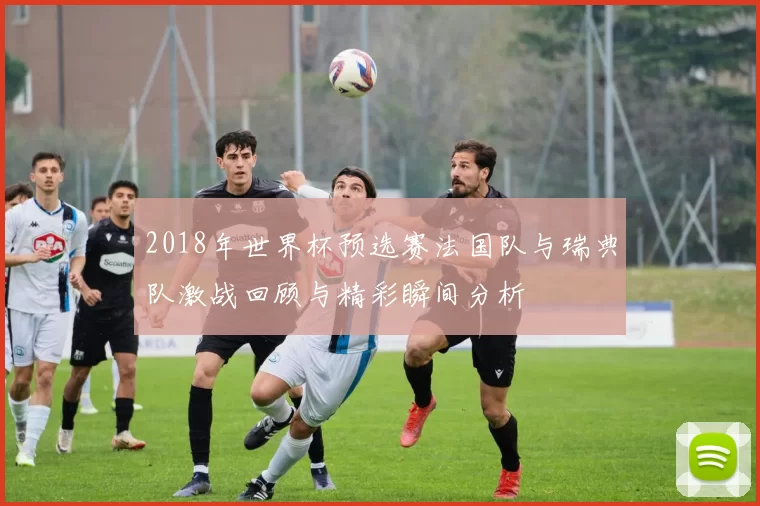 2018年世界杯预选赛法国队与瑞典队激战回顾与精彩瞬间分析