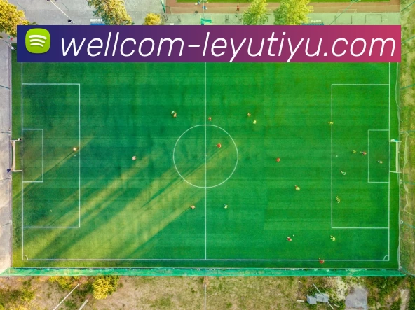 多媒体互动体验